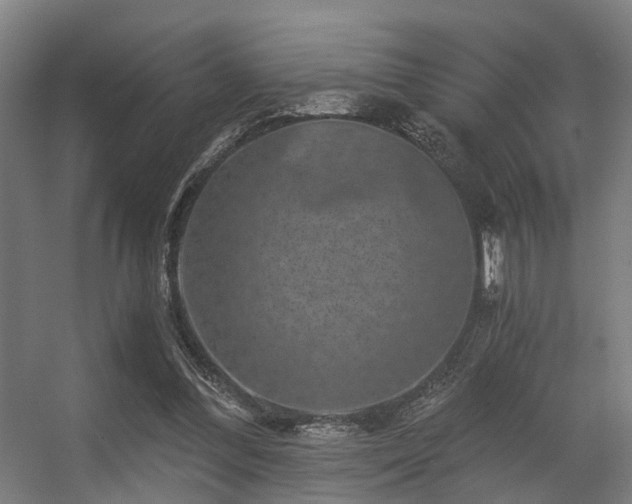 X0000056380300200508291419