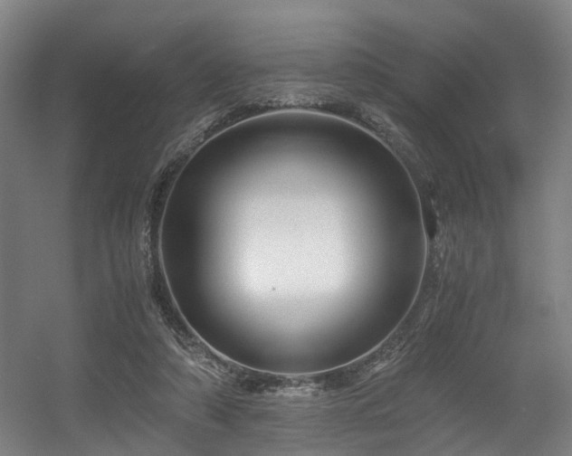 X0000056380306200508291419