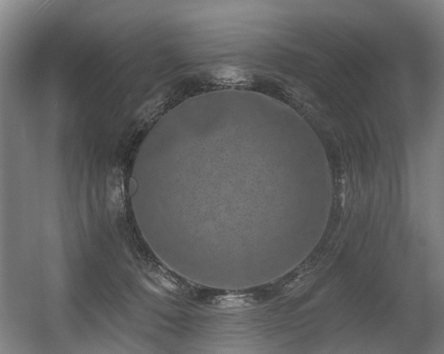 X0000056380320200508291419