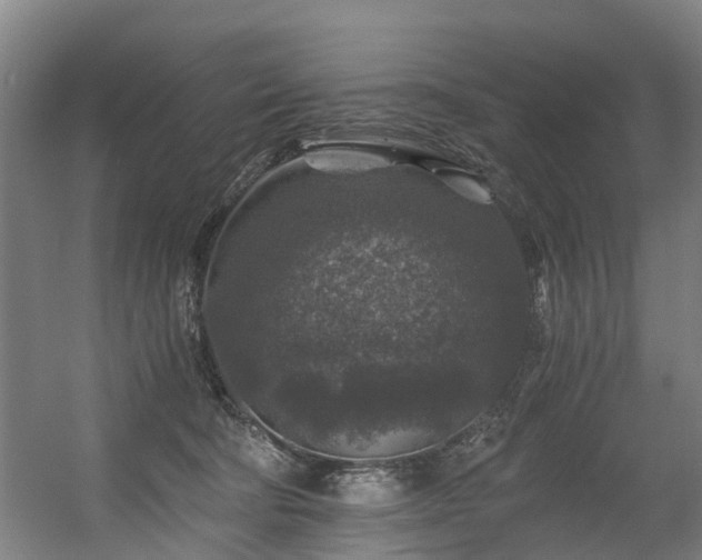 X0000056380322200508291419