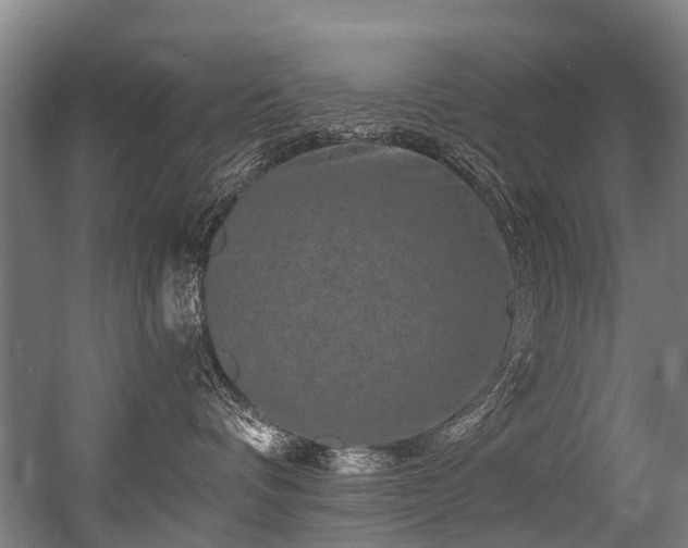 X0000056380336200508291418