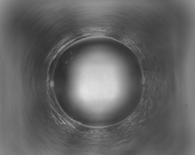 X0000056380338200508291418