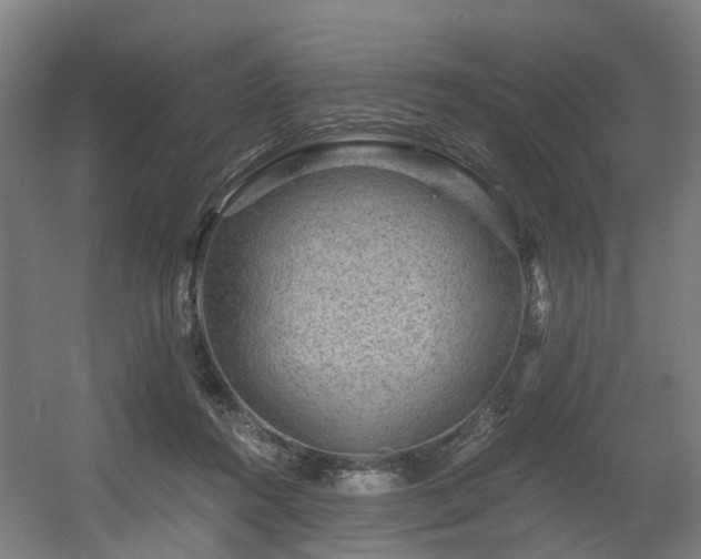X0000056380360200508291418