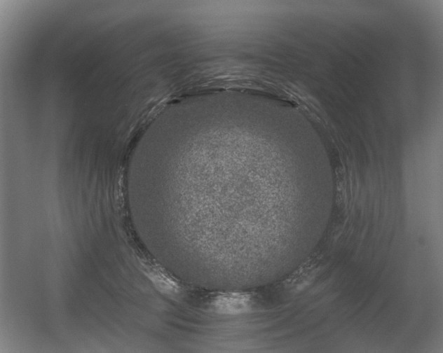 X0000056380369200508291418