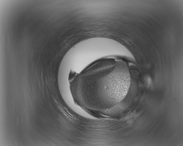 X0000056380380200508291418