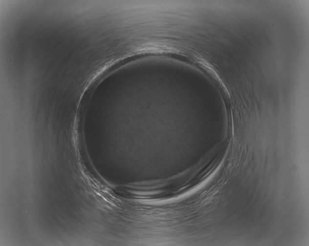 X0000056380387200508291417