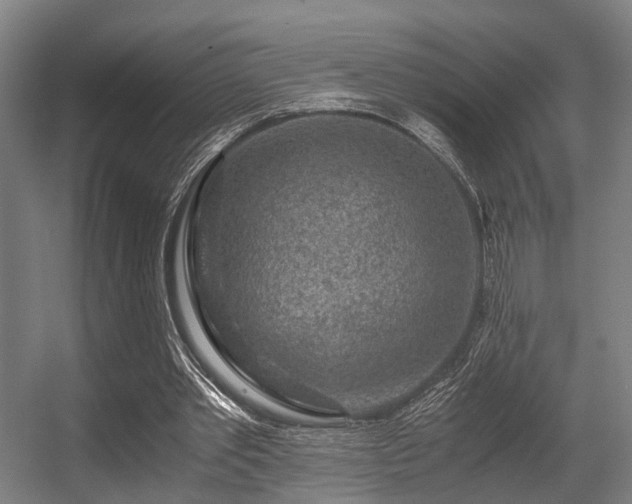 X0000056380389200508291417