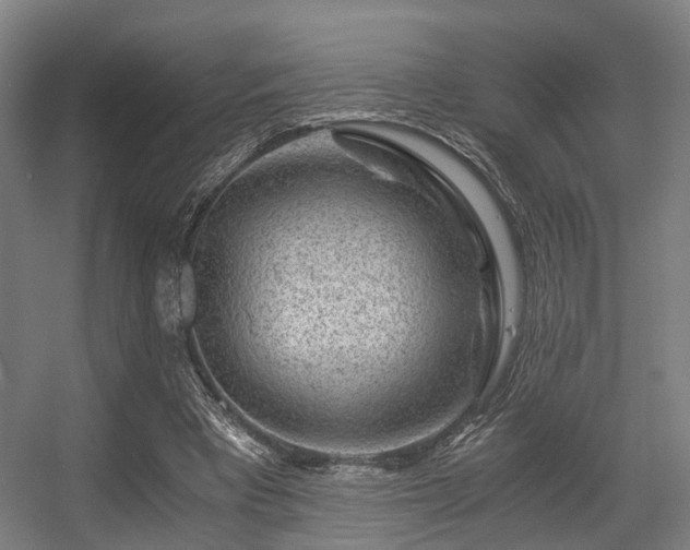 X0000056380393200508291417