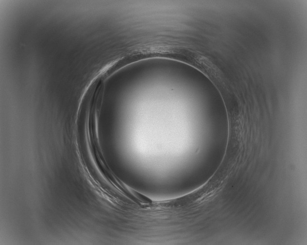 X0000056380395200508291417