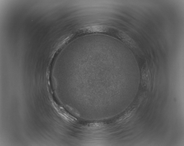 X0000056380398200508291417