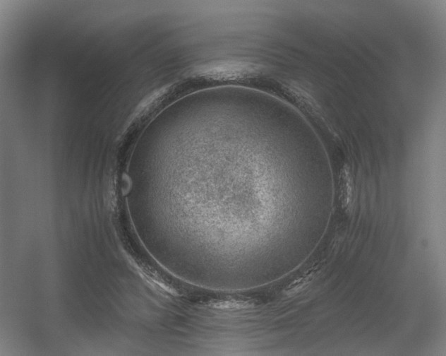 X0000056380400200508291417