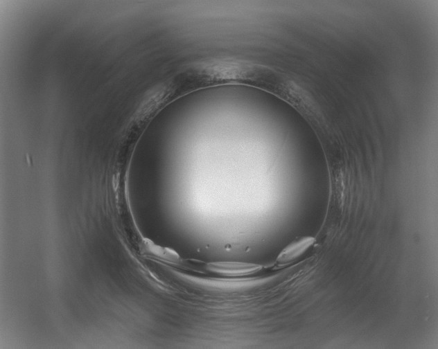 X0000056380406200508291417
