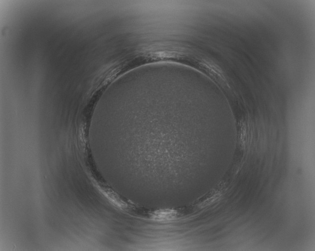 X0000056380410200508291417