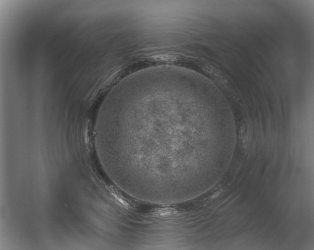 X0000056380424200508291417