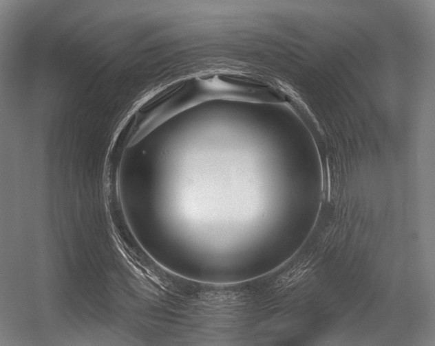 X0000056380435200508291416
