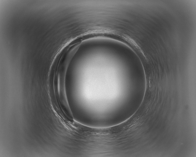 X0000056380436200508291416