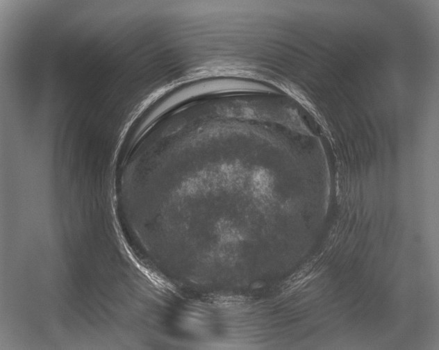 X0000056380438200508291416