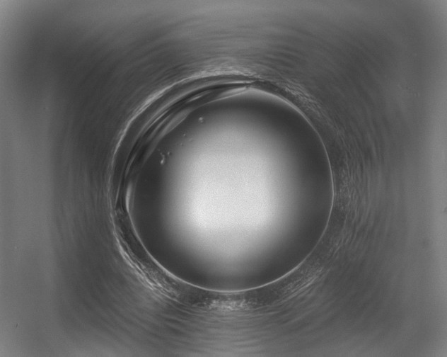 X0000056380440200508291416