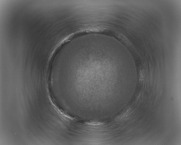 X0000056380444200508291416