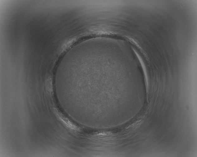 X0000056380447200508291416