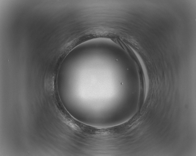 X0000056380454200508291416