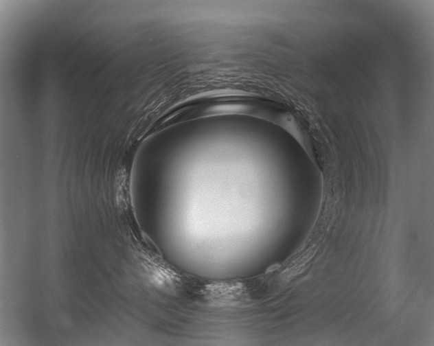 X0000056380480200508291417