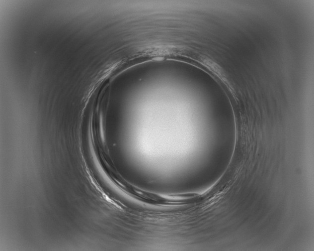 X0000056380485200508291416