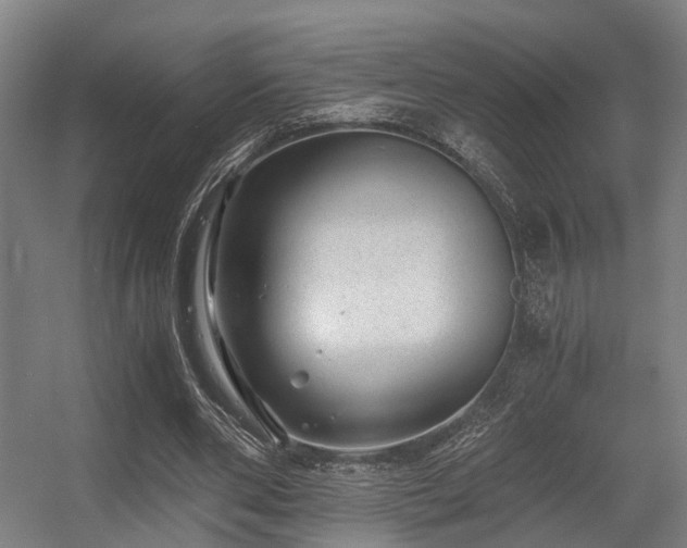 X0000056380486200508291416