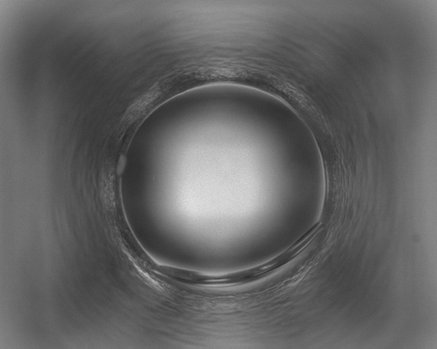 X0000056380489200508291416
