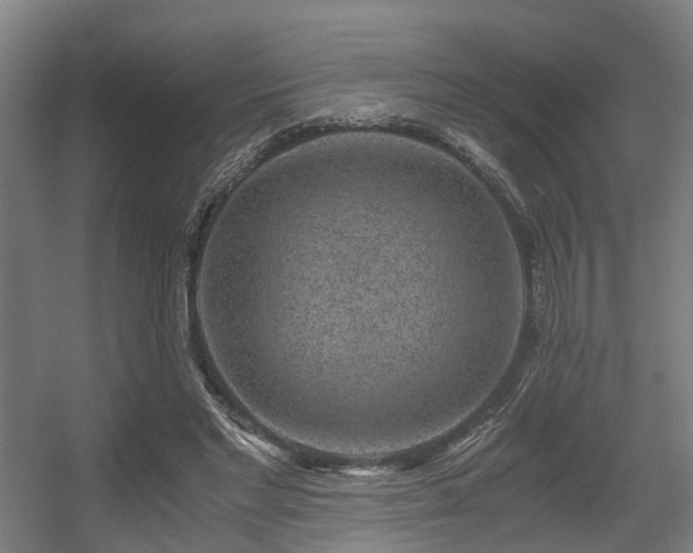 X0000056380493200508291416