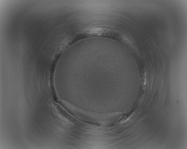 X0000056380504200508291415