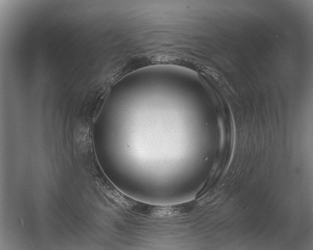 X0000056380521200508291415