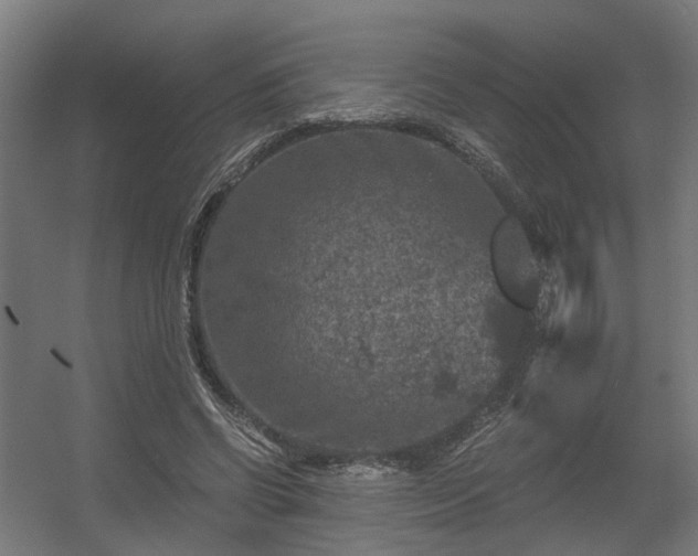 X0000056380542200508291414
