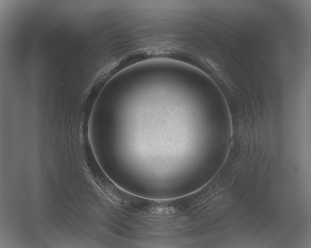 X0000056380543200508291414