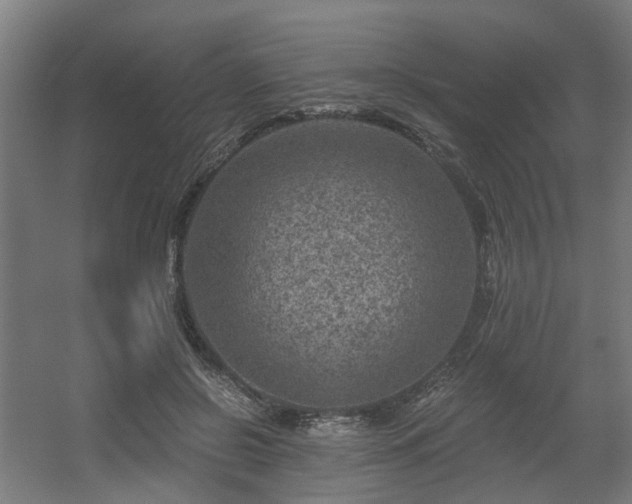 X0000056380550200508291415