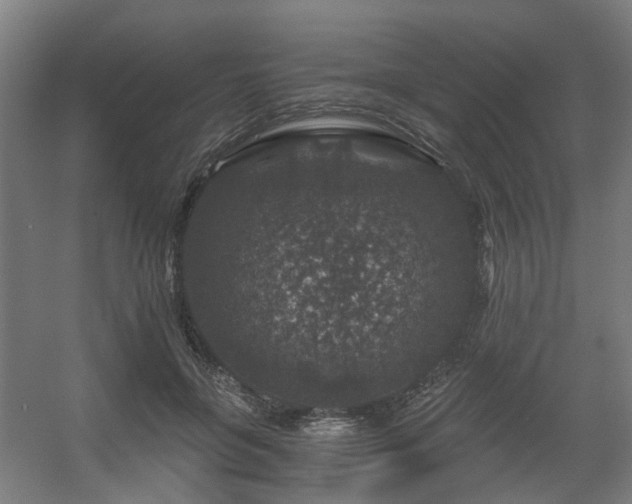 X0000056380551200508291415
