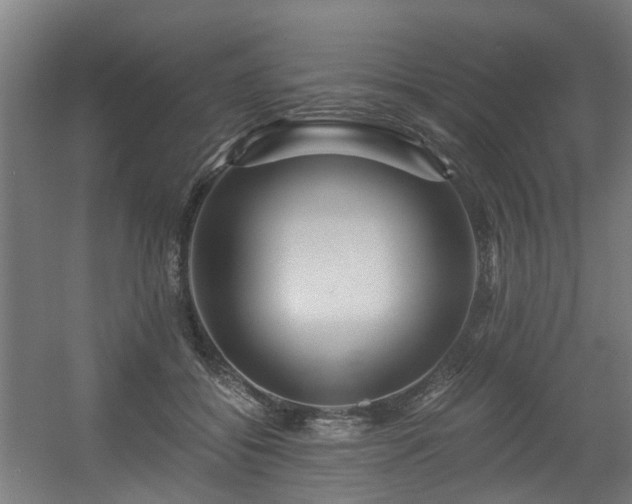 X0000056380556200508291415
