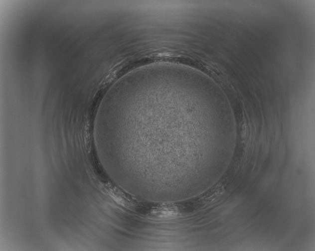 X0000056380559200508291415