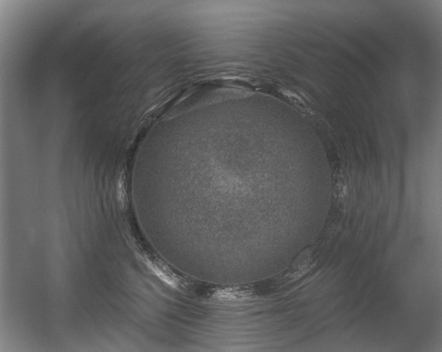 X0000056380568200508291415