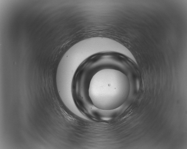 X0000056380570200508291415