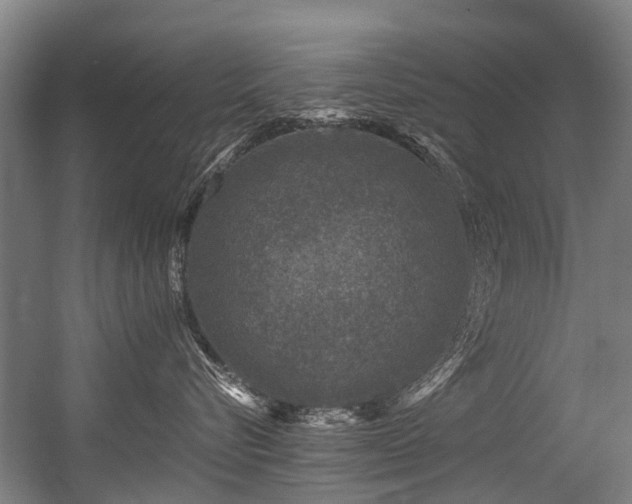 X0000056380576200508291415