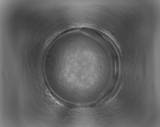 X0000056380577200508291414