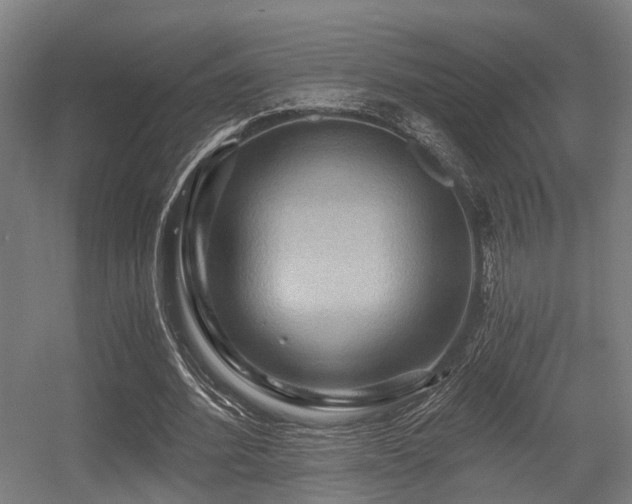 X0000056380580200508291414