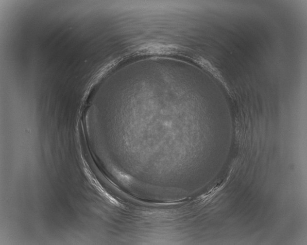 X0000056380581200508291414