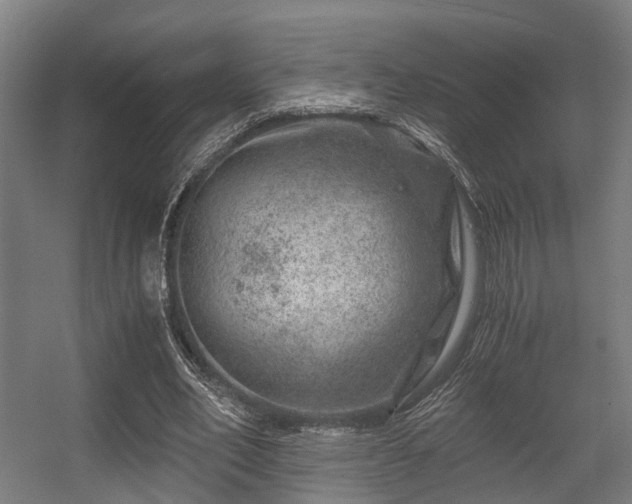 X0000056380582200508291414