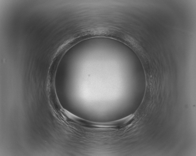 X0000056380583200508291414