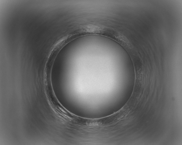 X0000056380587200508291414