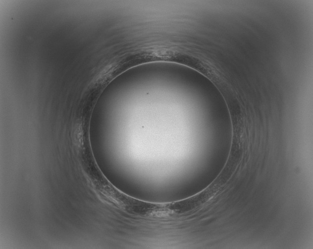 X0000056380595200508291414