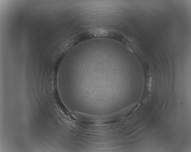 X0000056380604200508291414
