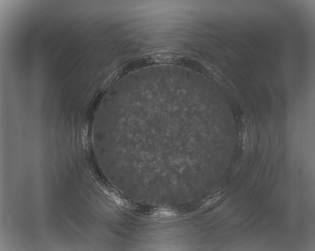 X0000056380610200508291414